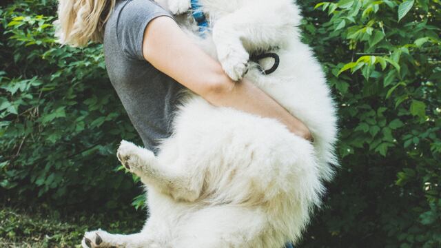 ¿Tratas a tu mascota como un “perrhijo”? Podrías tener trastornos psicológicos