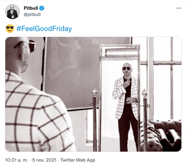 Meme de Pitbull con cabello largo