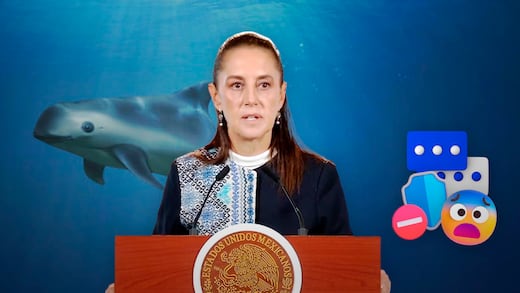 ¿Por qué redujeron la zona protegida de la vaquita marina? Sheinbaum lo explica