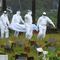 India enfrenta al Virus Nipah mientras se incrementan sus casos de Covid-19