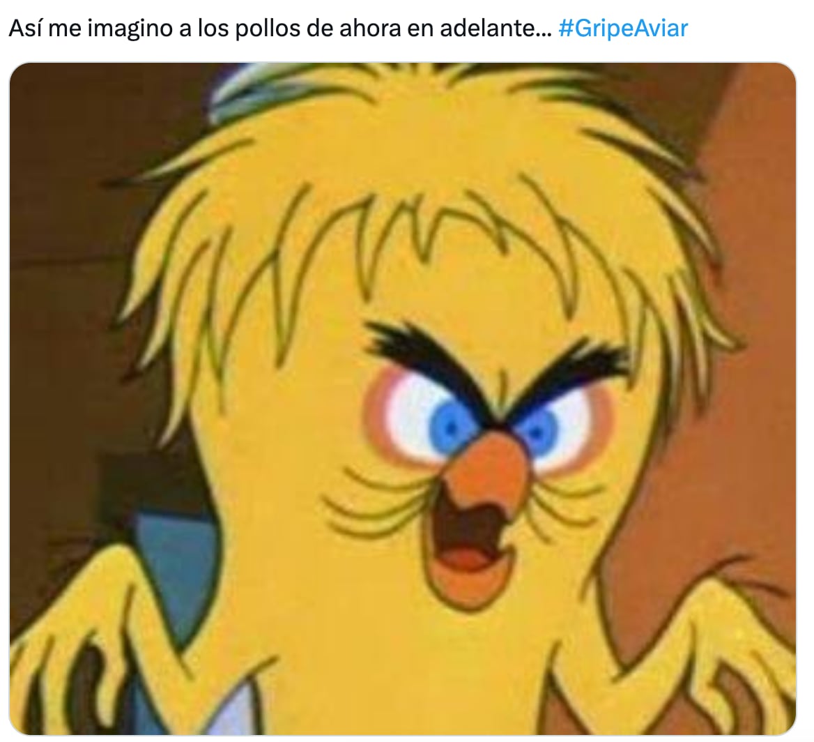 Los memes paranoicos de la gripe aviar en México