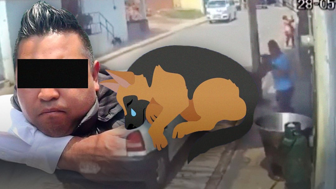 Sergio Morales enfrenta audiencia por matar al perro Benito con cazo con aceite hirviendo