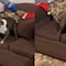 VIDEO: Perrita abriendo su regalo de Navidad es lo más tierno que verás en TikTok