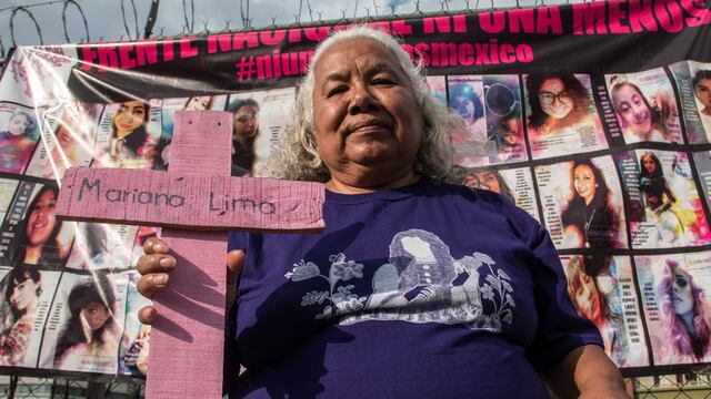 Irinea Buendía, mamá de Mariana Lima y activista.