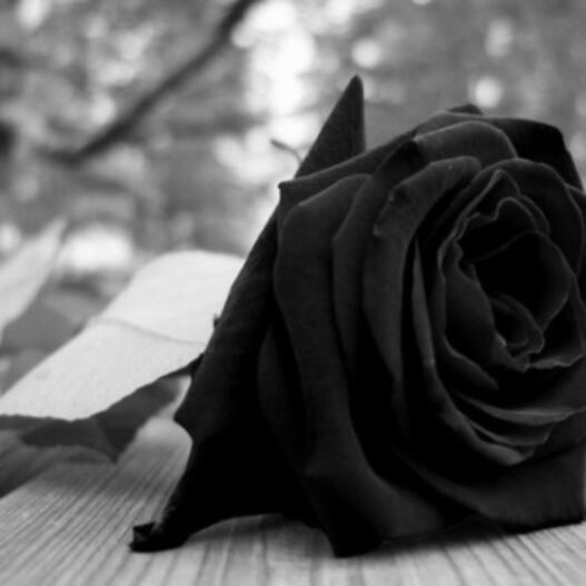 Cumple los putos 80 años