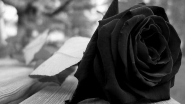 Me lo crean o no, estaba seguro que yo moriría primero, lo digo sin fatalismo