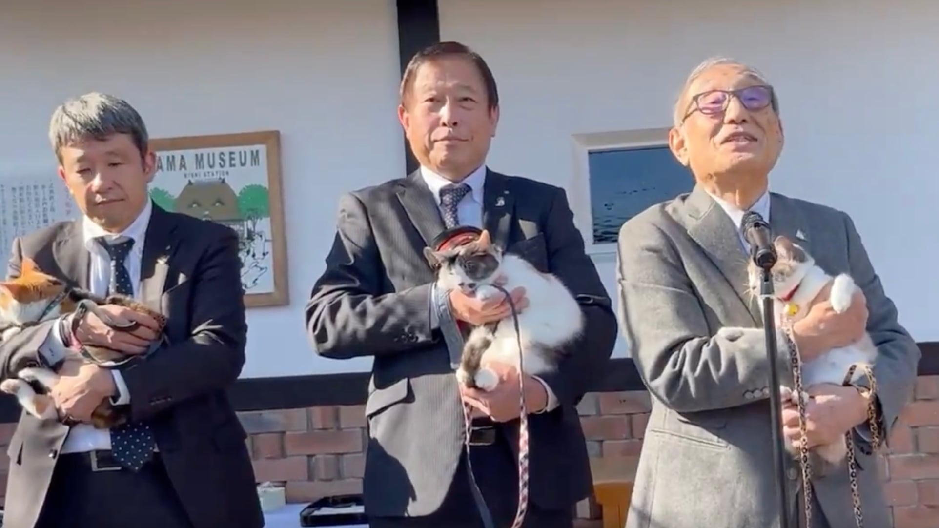 Japón nombra a Rokutama, una gata, como aprendiz de jefe de estación de la línea Kishigawa