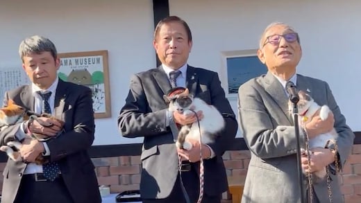 Japón nombra a Rokutama, una gata, como aprendiz de jefe de estación de la línea Kishigawa