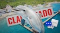 “Delfines no están abandonados”: Profepa tras clausura en Dolphin Discovery