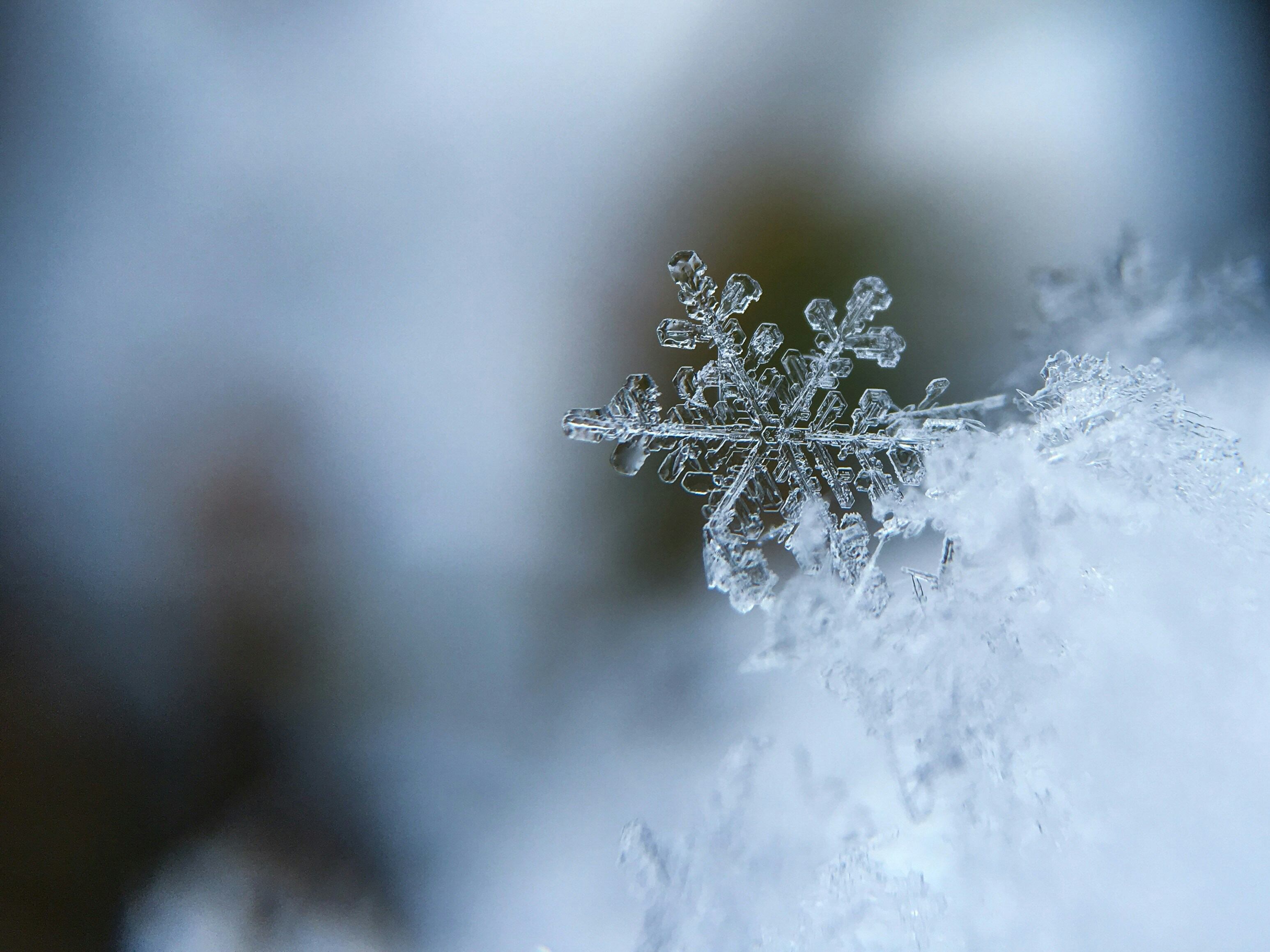Invierno