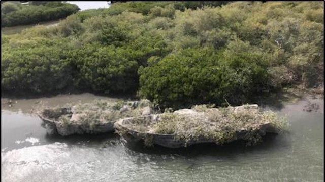 Marina decomiso droga Sonora
