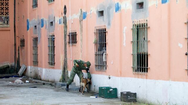 Aún no termina la búsqueda de fosas y resto humanos