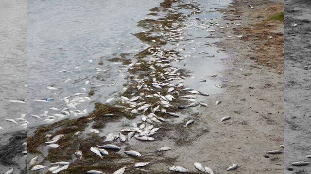 Las autoridades de Teas lanzaron una alerta 