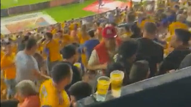 Aficionados del Club Tigres
