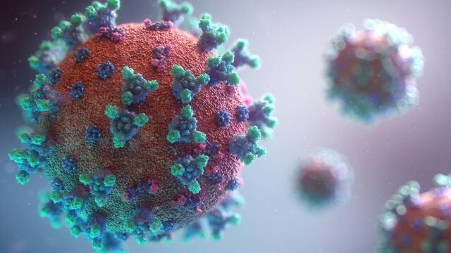 La Enfermedad X podría ser 20 veces más letal que el Covid-19