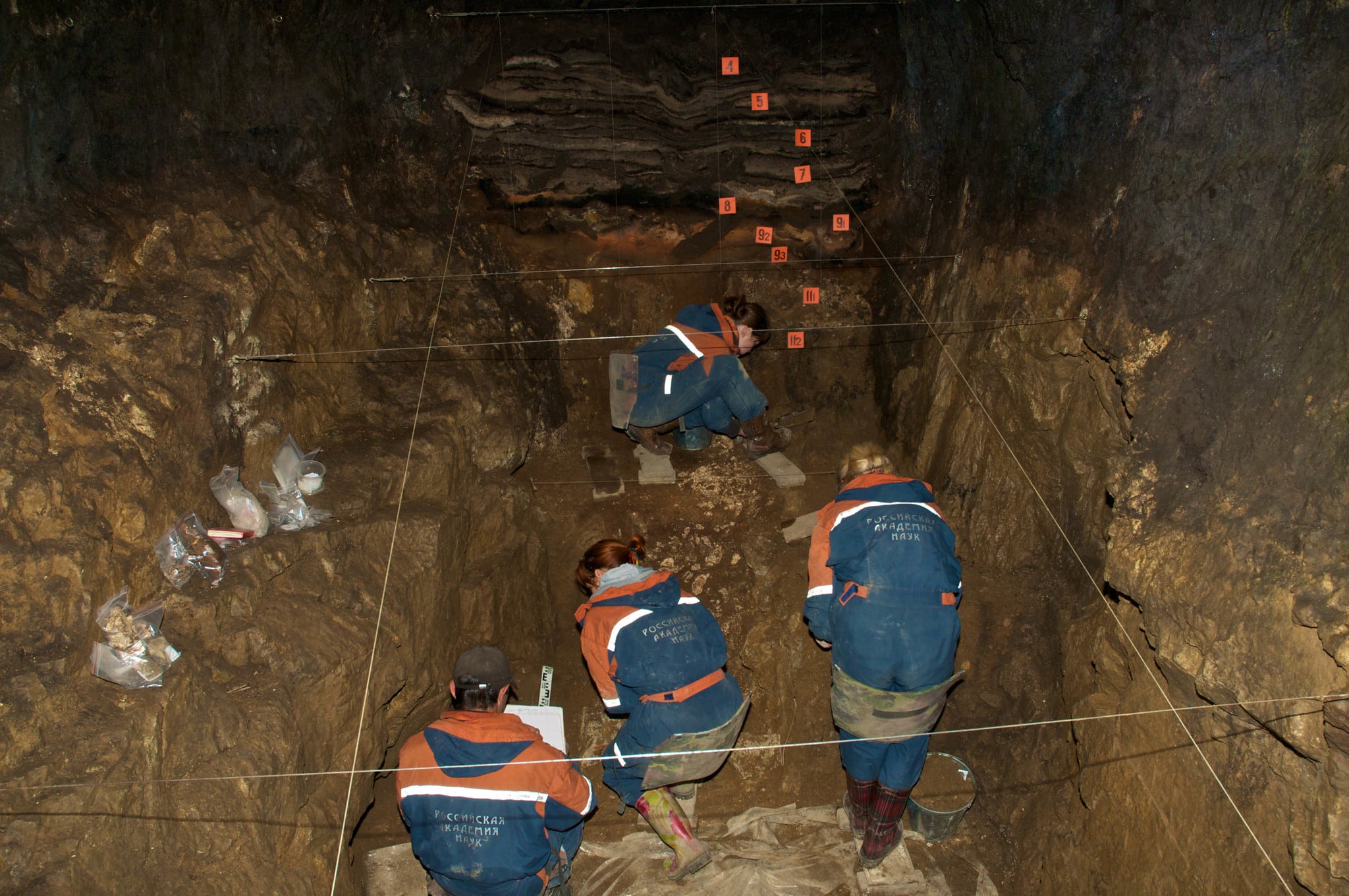 El humano que es el único caso registrado cuyos padres pertenecen a especies distintas