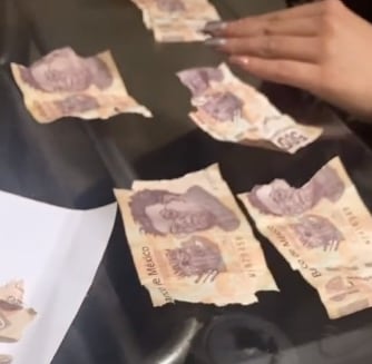 Perro rompe billetes de su dueña