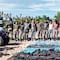 Suman 27 detenidos tras operativo y bloqueos violentos en Aguascalientes