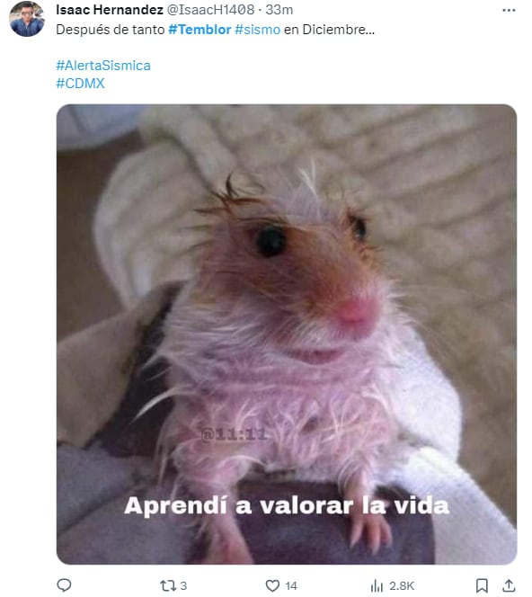 Memes por el sismo del 14 de diciembre