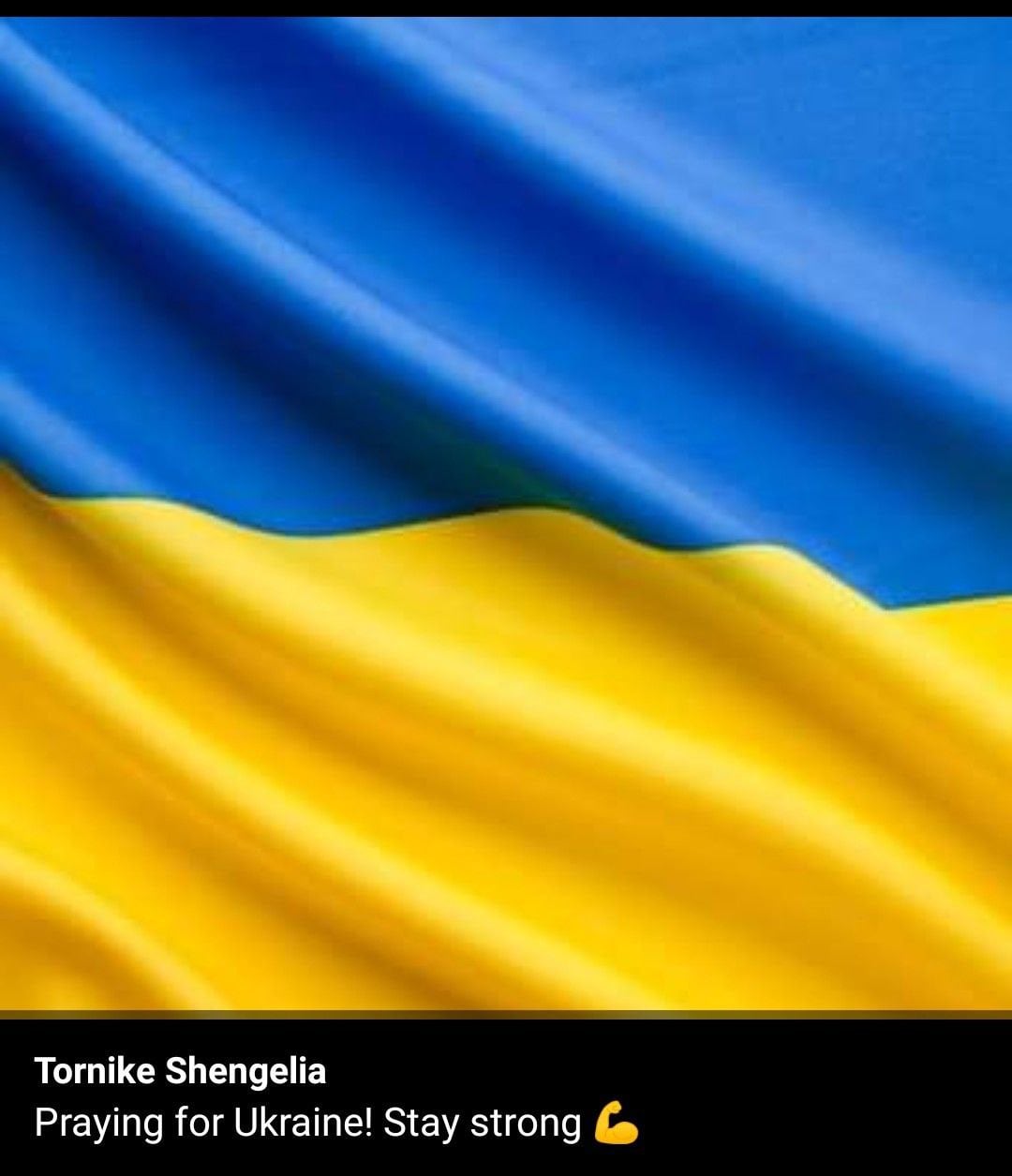 Tornike Shengelia