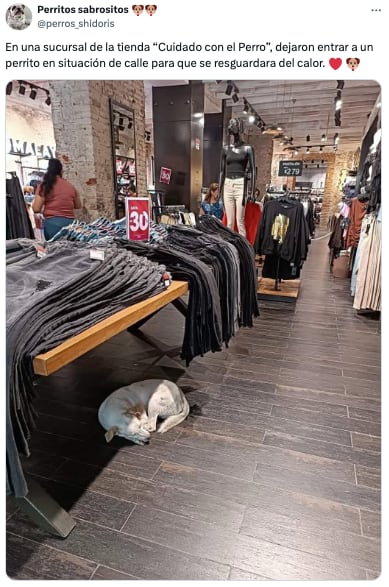 Cuidado con el Perro