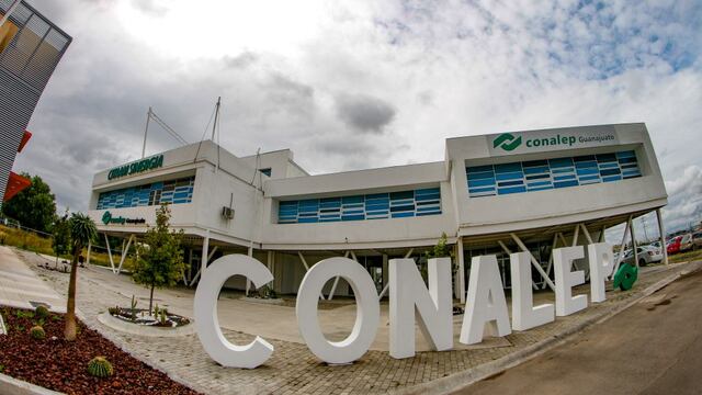 Conalep León I de Guanajuato reporta plaga de chinches