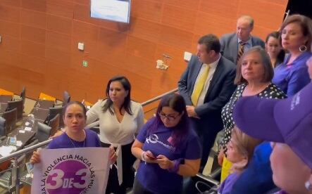 colectivo feminista en la Cámara de Senadores
