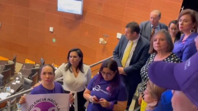 colectivo feminista en la Cámara de Senadores