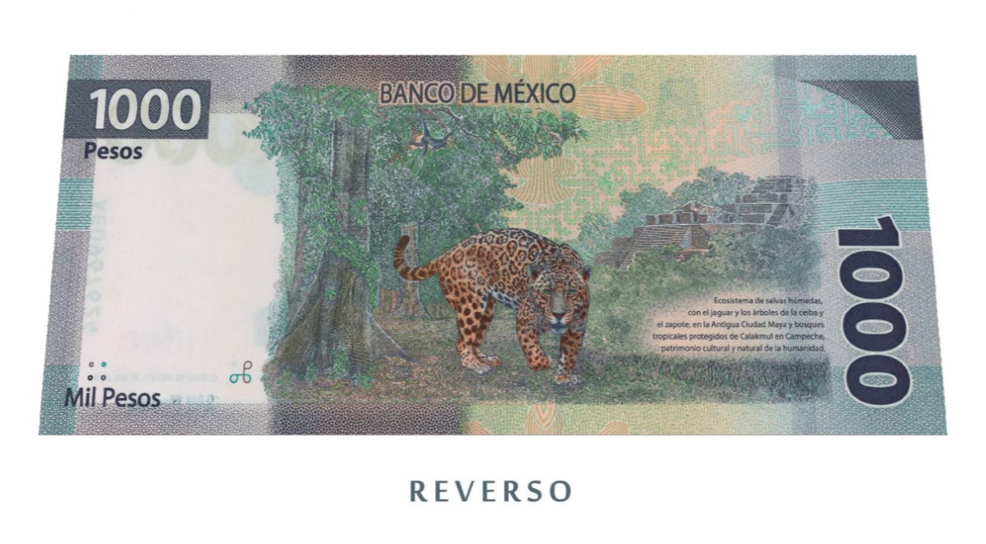 Único billete de mil pesos que seguirá en circulación