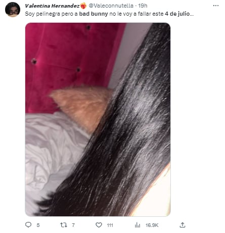 Memes por el 4 de julio pidiendo perdón a Bad Bunny porque no le cumplieron