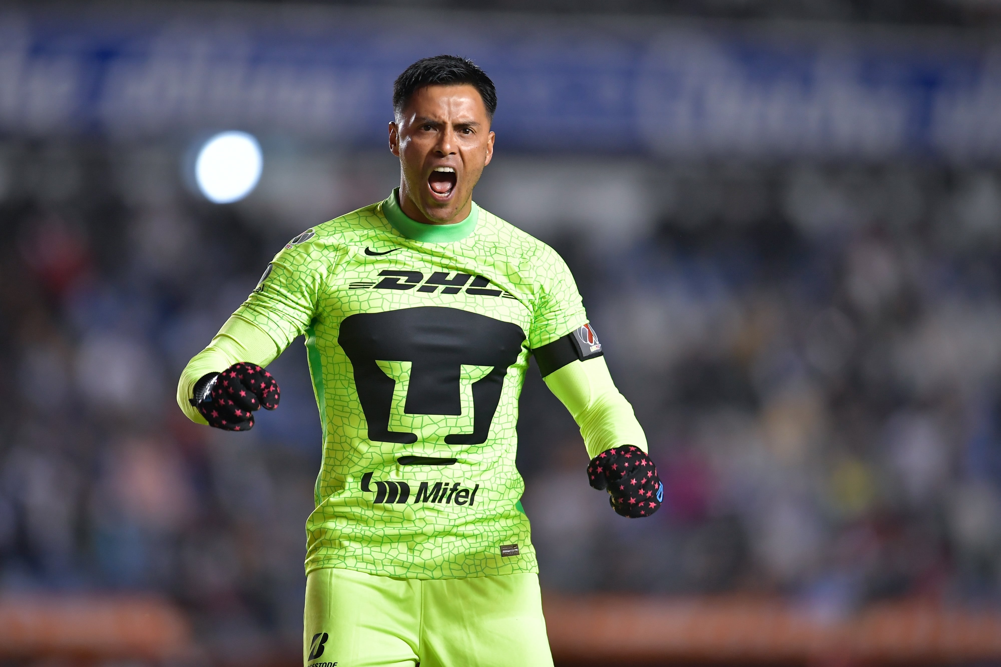 Alfredo Talavera