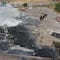 ¿Qué pasa en Valle de Chalco? Incendio en recicladora de PET ya fue sofocado pero hay viviendas dañadas y familias son evacuadas; empresa será suspendida