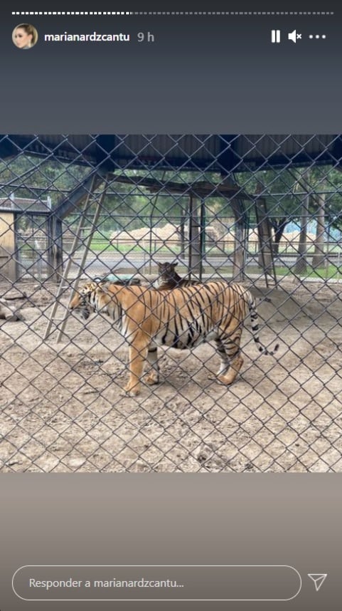 Mariana Rodríguez coparte fotos de los animales de La Pastora