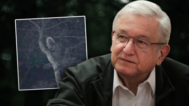 ¿AMLO aparecerá en las mentiras de la semana? Twitter ya identificó la foto del falso aluxe como fake