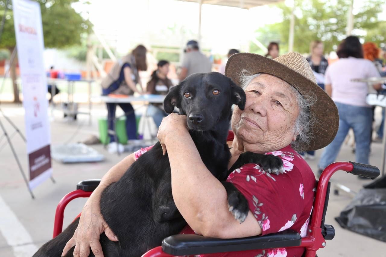 Alfonso Durazo celebra un año de 33 mil servicios brindados a animales de Sonora