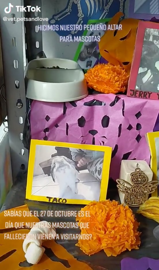 Ejemplo de altar de muertos para mascotas.