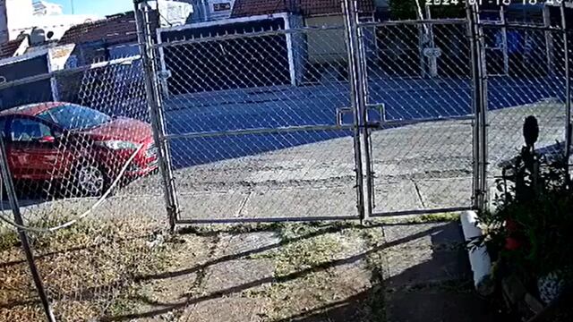 Niño de 12 años le disparó a un lomito sólo porque le ladró