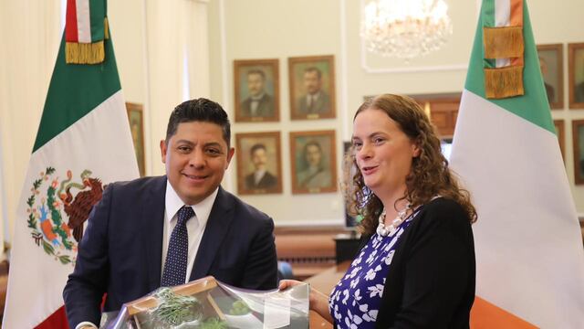 Ricardo Gallardo y la embajadora de Irlanda de reúnen.