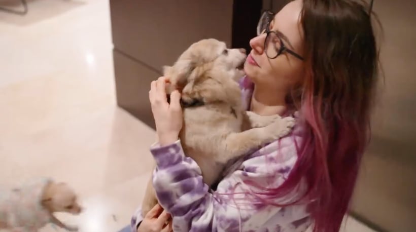 YosStop se reencuentra con sus perros