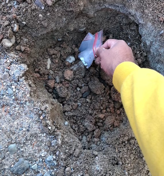 Tragedia de billetes podridos en TikTok