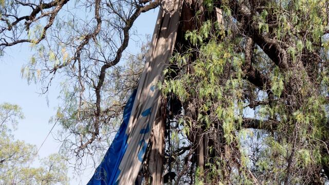 Globo aerostático Teotihuacán. Dan de alta a la menor de edad herida.