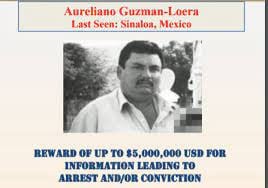 Aureliano Guzmán Loera, "El Guano", hermano del Chapo