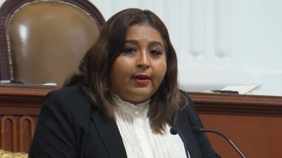 ¿Quién es Claudia Pérez? Diputada del PAN en el Congreso de la CDMX