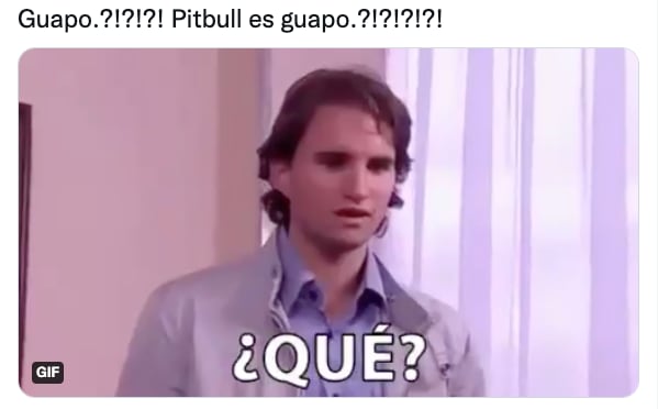 Meme de Pitbull con cabello largo