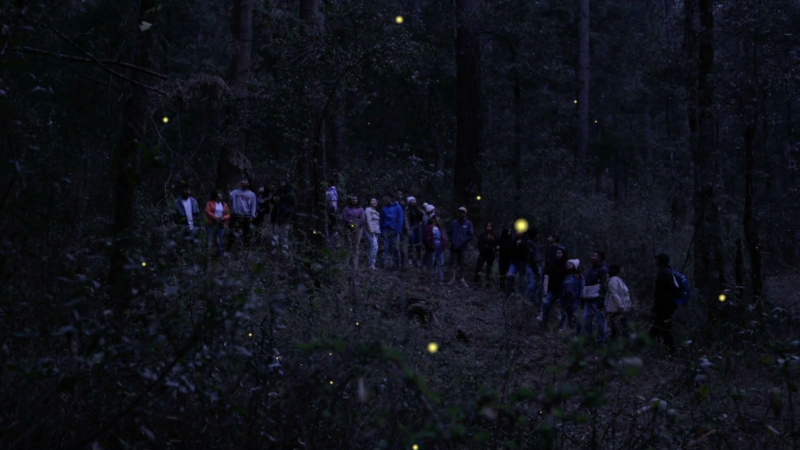 Tlaxcala inaugura la Temporada de Avistamiento de Luciérnagas 2026