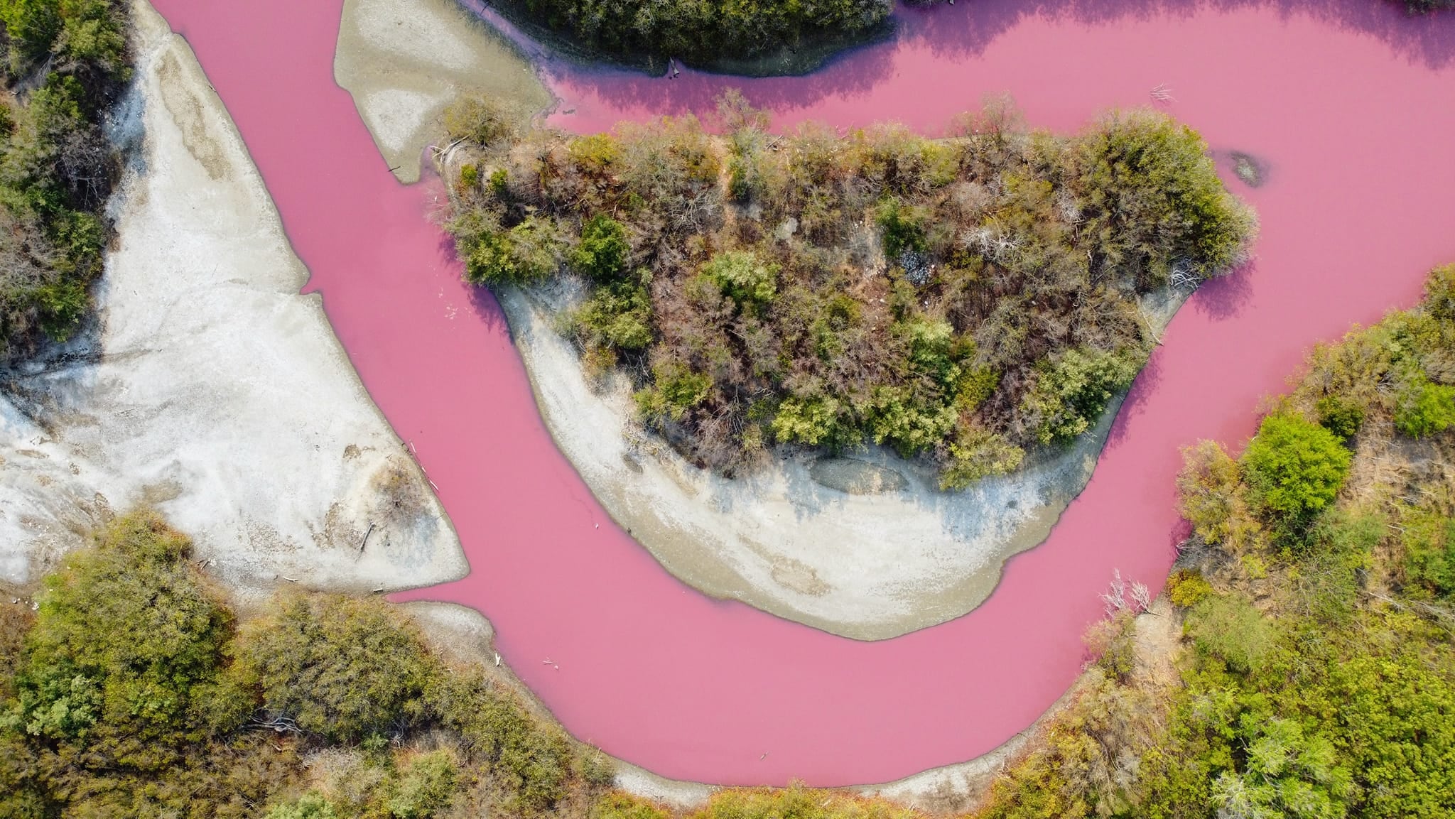 La laguna "La Salina" se pinta de rosa en Oaxaca/Esau Zavaleta MX