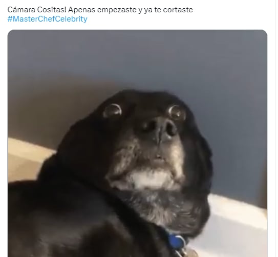 Memes: Cositas es la primera en cortarse en MasterChef Celebrity 2023.