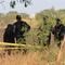 México lidera este triste ranking de América Latina sobre crimen organizado y narcotráfico