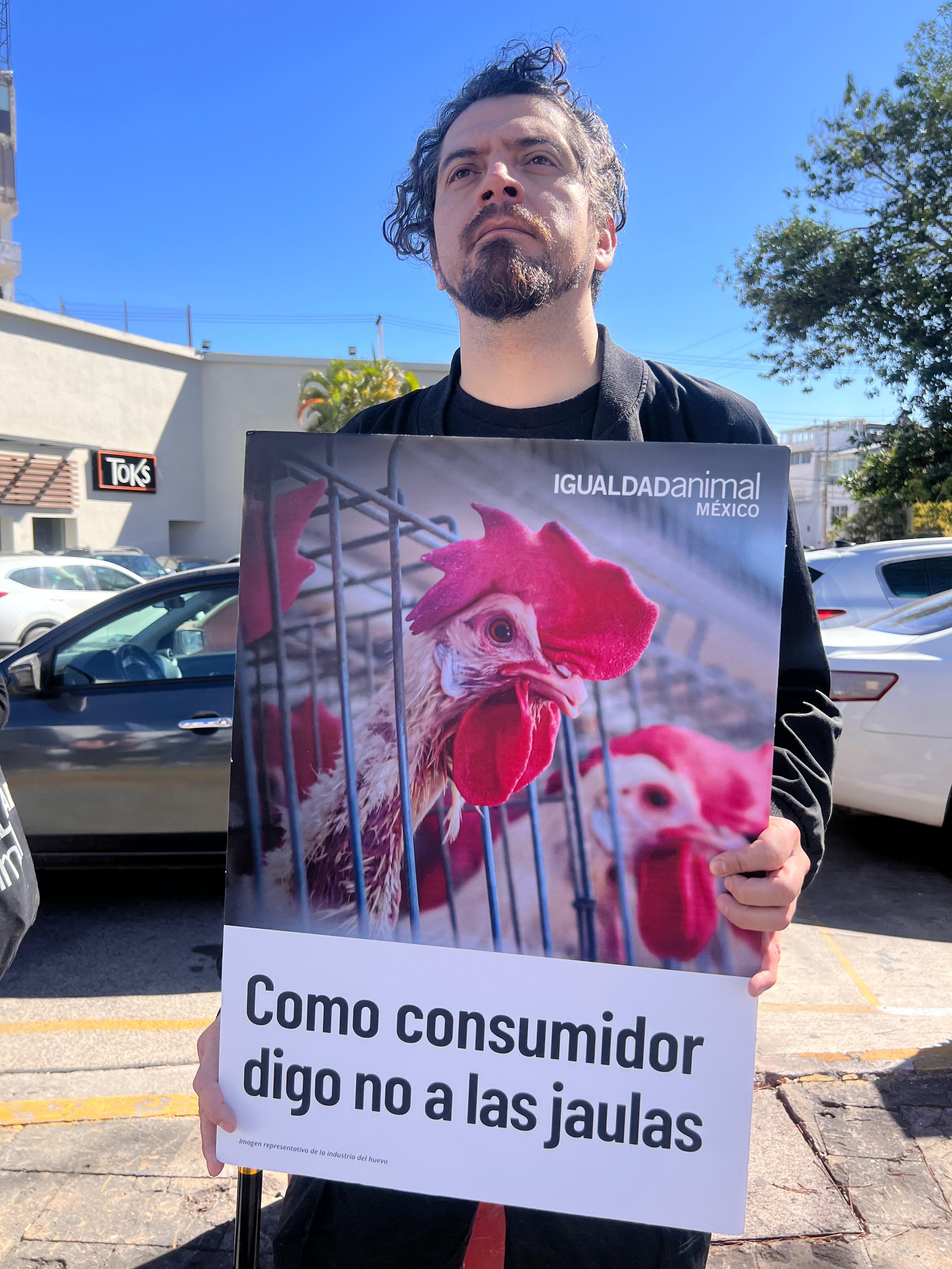 Toks Guadalajara es señalada por no cumplir con el bienestar animal