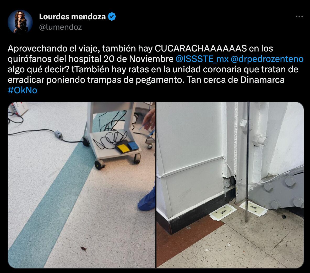 Graban ratas en clínica del ISSSTE en Santa Rosalía